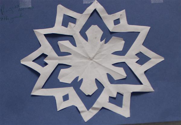 Snow Flake 9